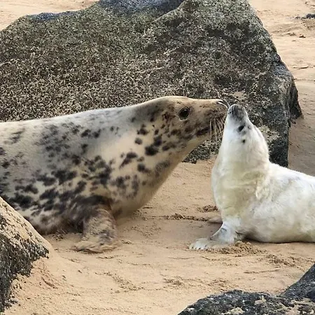 The Pollywiggle, Waxham, Nr Sea Palling Dog Friendly, Private Walk To The Beach Norwich Exterior photo